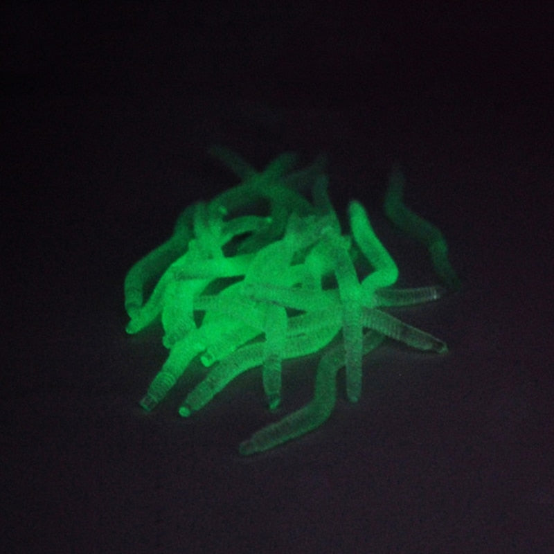 Silicone Earthworm & Fluorescent Fishing Bait