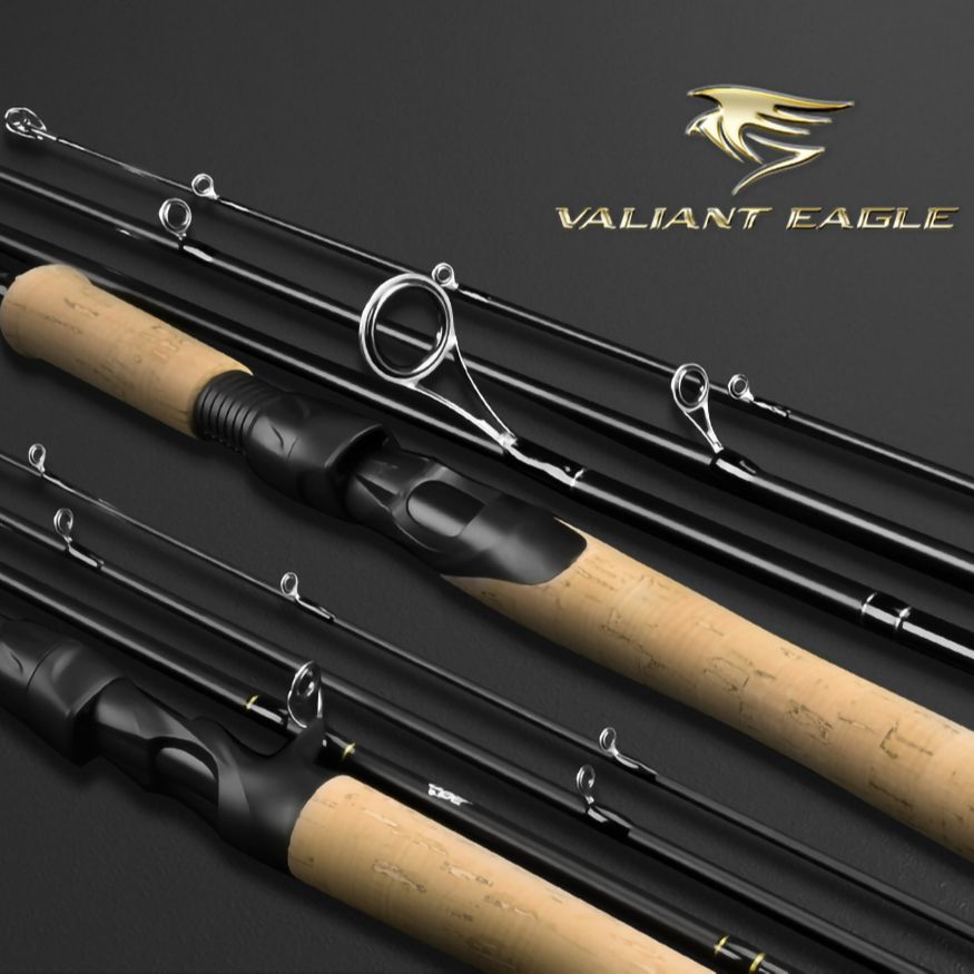 KASTKING Valiant Eagle Passage Fishing Rod